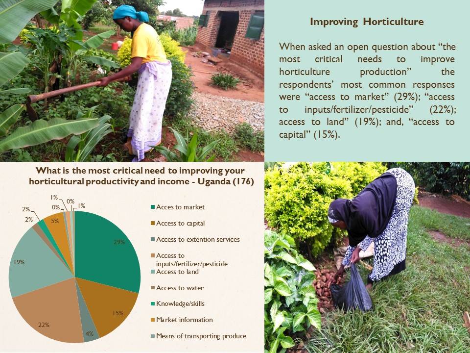 improving-horticulture